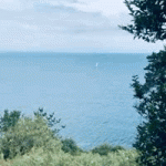 Cornwalls and sailing